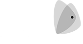 dn-logo-grey